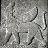 ilion1250